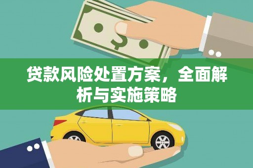 美姑贷款风险处置方案，全面解析与实施策略