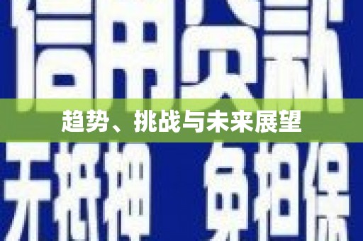 美姑趋势、挑战与未来展望