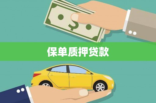 美姑保单质押贷款