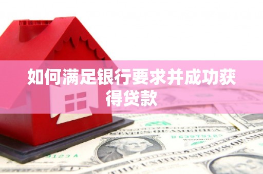 美姑如何满足银行要求并成功获得贷款