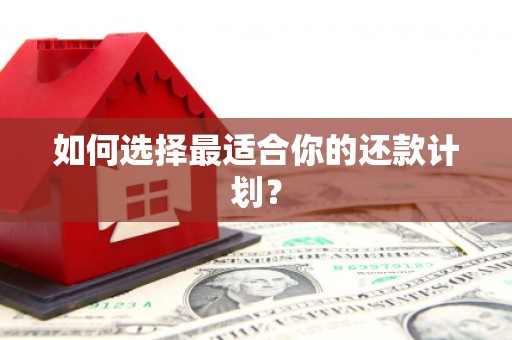 美姑如何选择最适合你的还款计划？