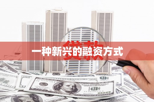 美姑一种新兴的融资方式