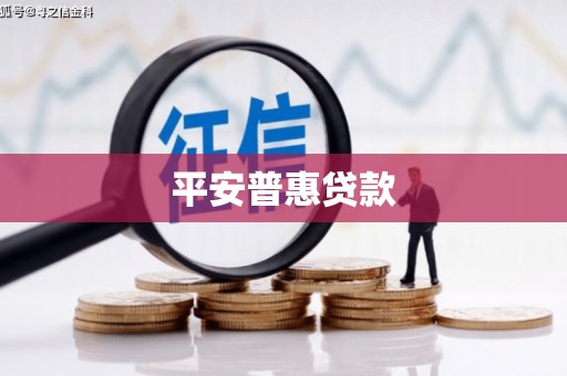 美姑平安普惠贷款