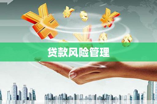 美姑贷款风险管理