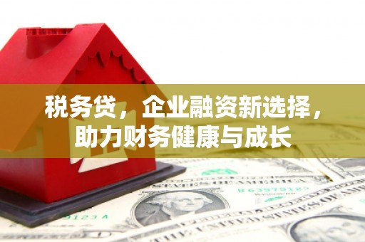 美姑税务贷，企业融资新选择，助力财务健康与成长